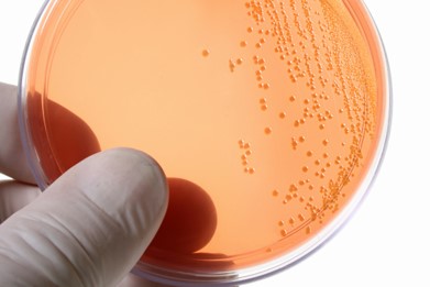 article ACM Pharma