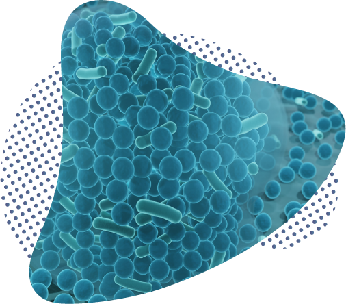Biofilms - activité R&D chez ACM Pharma Toulouse