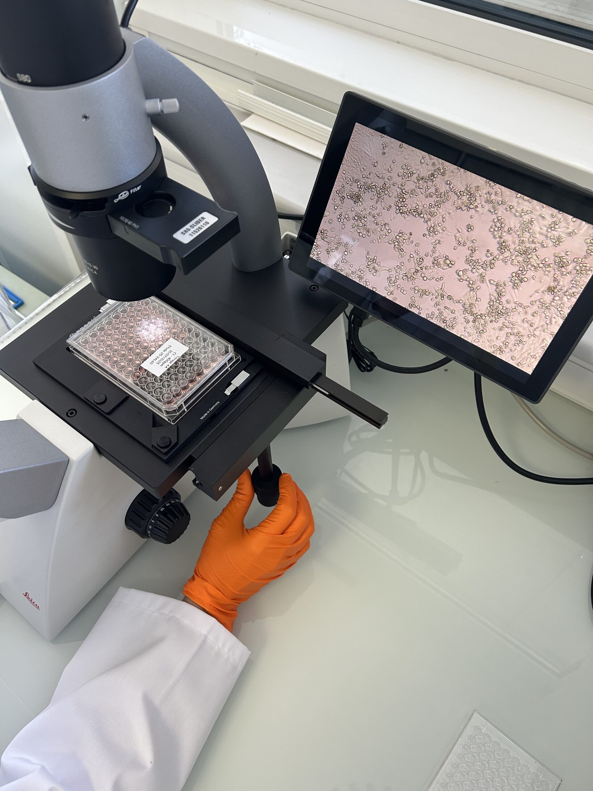 Virologie et culture cellulaire